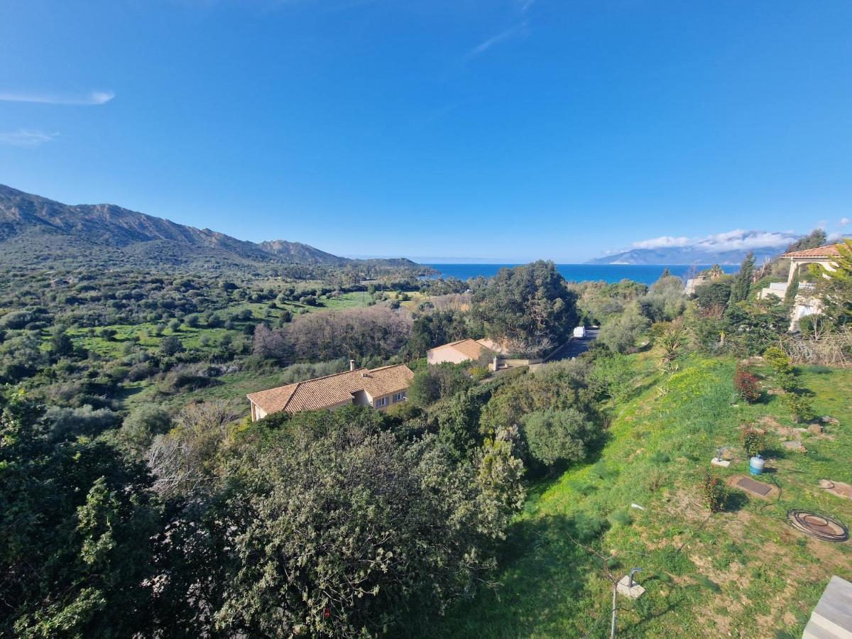 Appartement Vue Mer Fromontica Saint-Florent  Esterno foto
