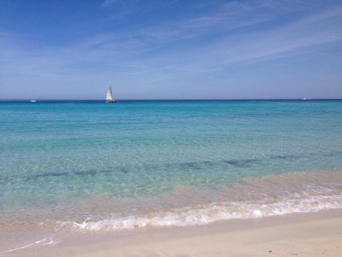 Appartement Vue Mer Fromontica Saint-Florent  Esterno foto