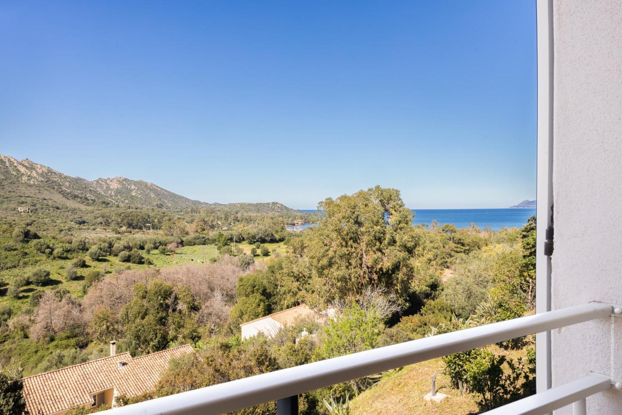 Appartement Vue Mer Fromontica Saint-Florent  Esterno foto